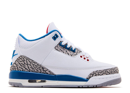Air Jordan 3 Retro "True Blue" (GS) (434)
