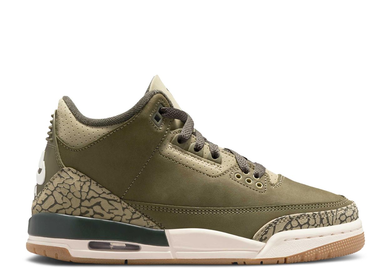 Air Jordan 3 Retro "Family Affair" (GS) (276)