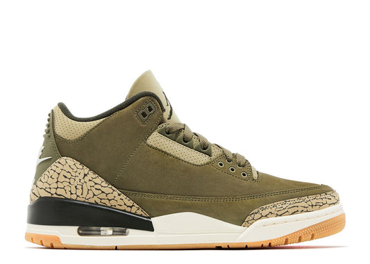 Air Jordan 3 Retro "Family Affair" (434)